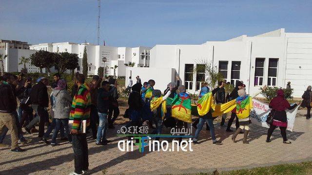 nador3319