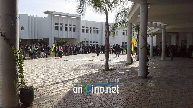 nador3322