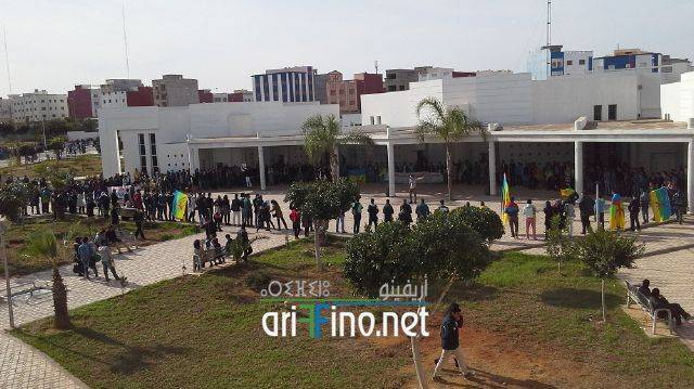nador3323