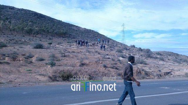 nador3411