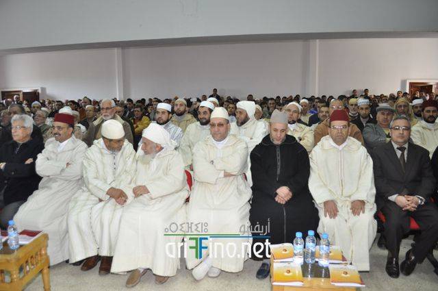 nador3446