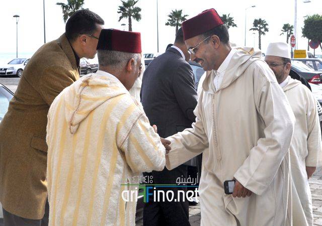 nador3483