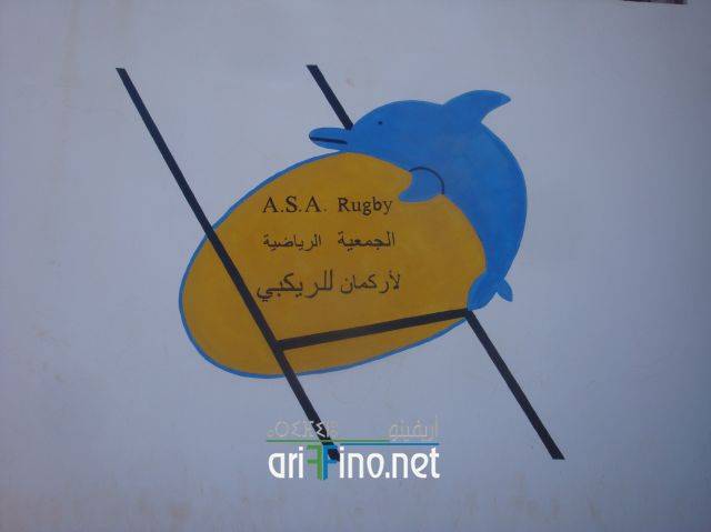 nador3519