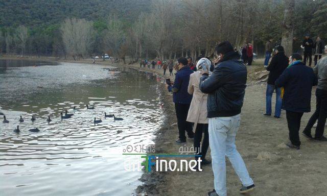 nador0591