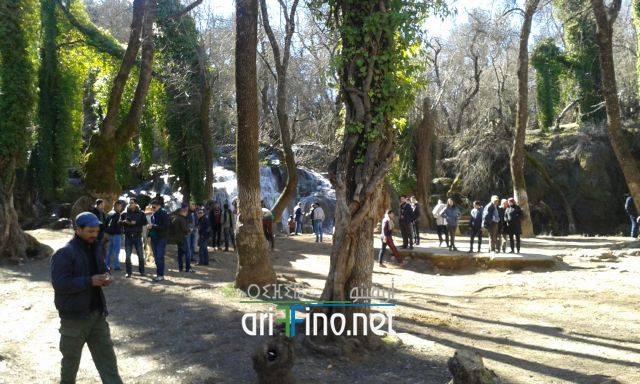 nador0602