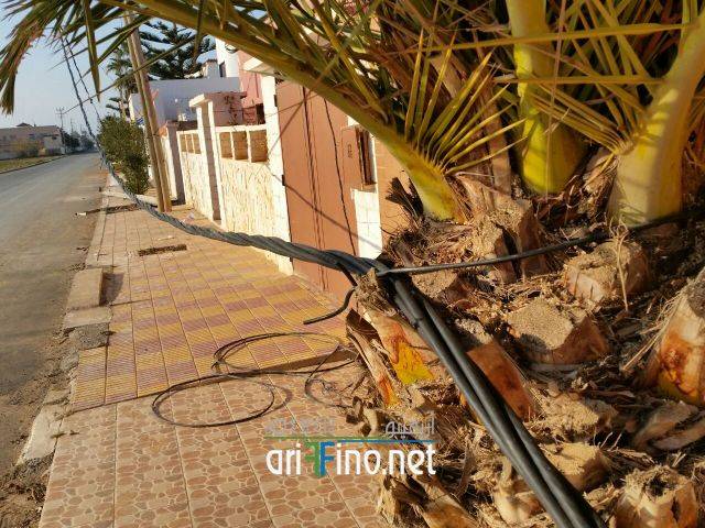 nador0724