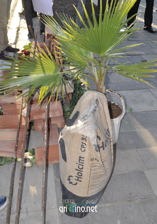 nador0747
