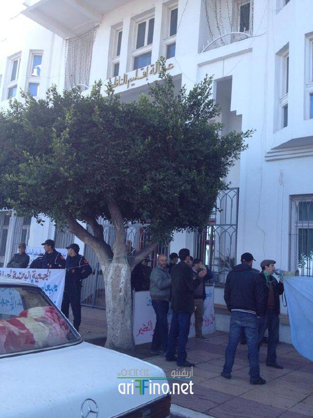 nador1466