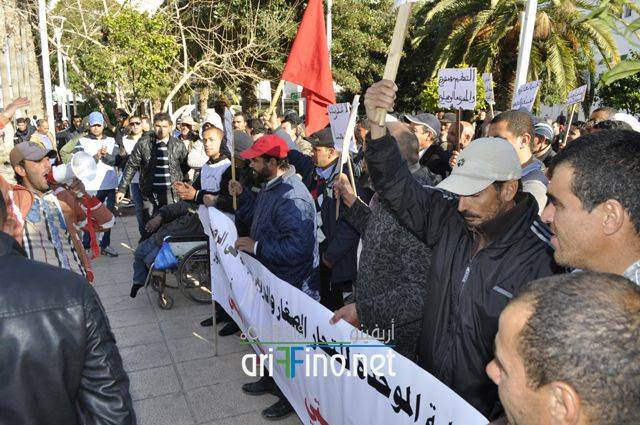 nador2205