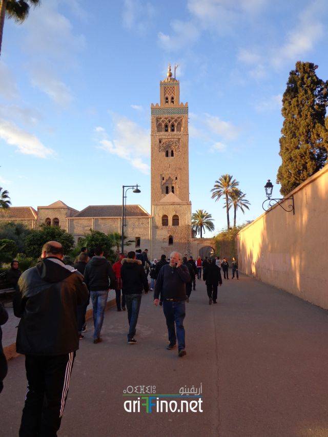 nador2347