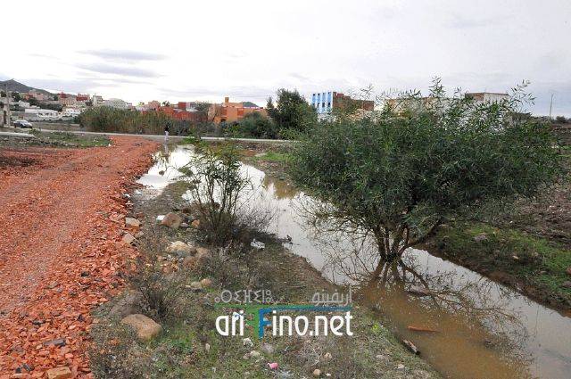 nador0104