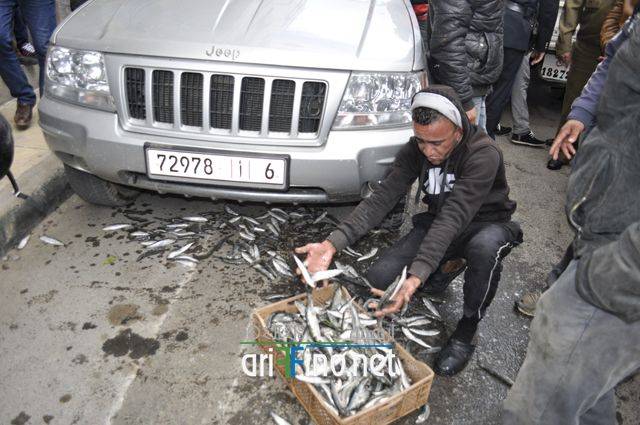 nador0332
