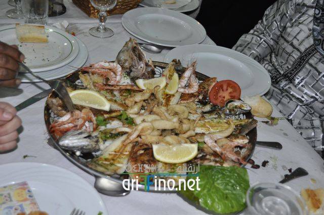nador0495