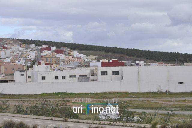 nador0529