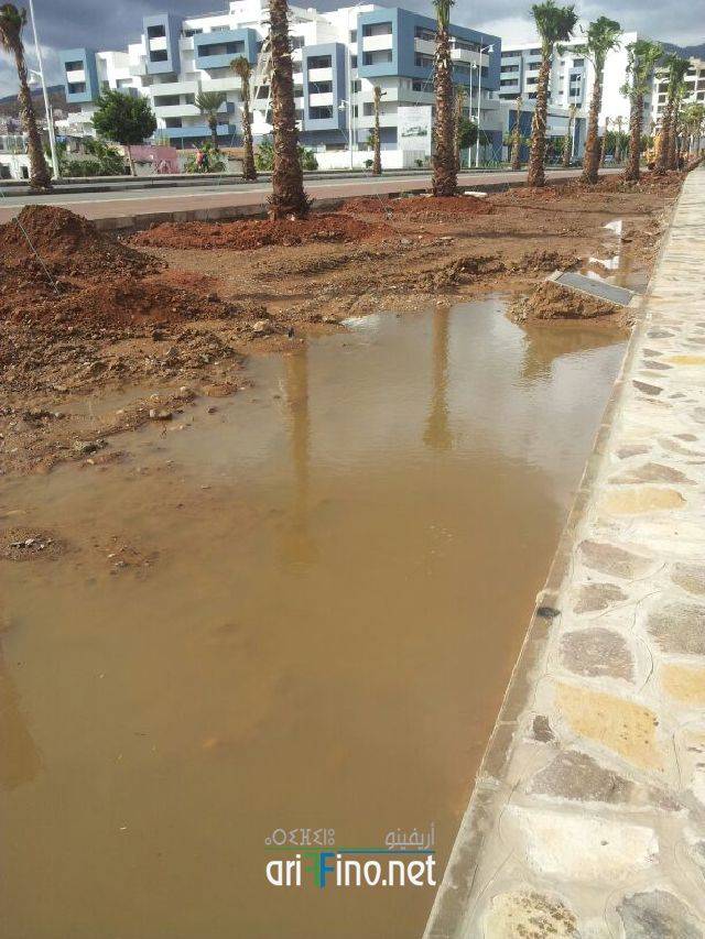 nador0556