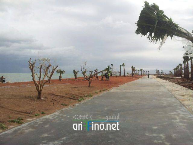 nador0557