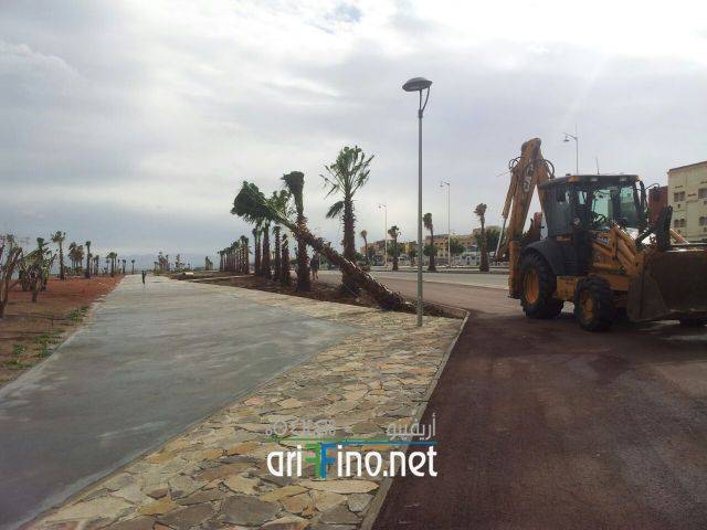 nador0558