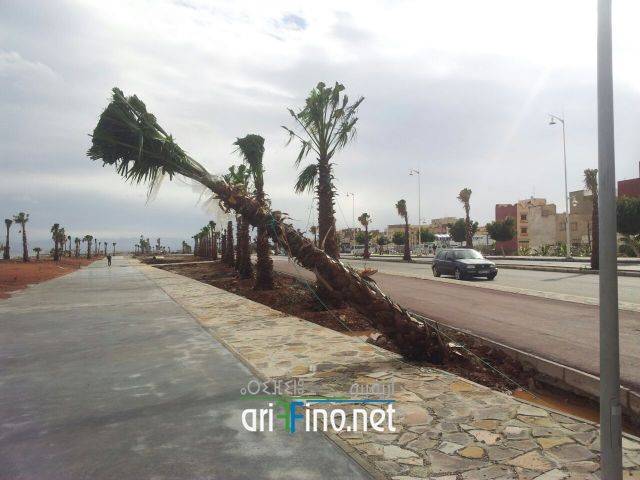 nador0559