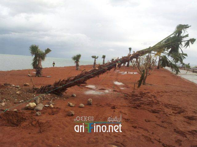 nador0564