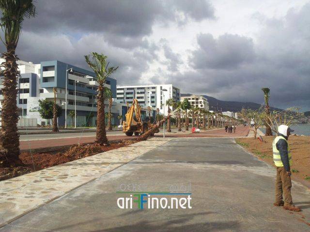 nador0565