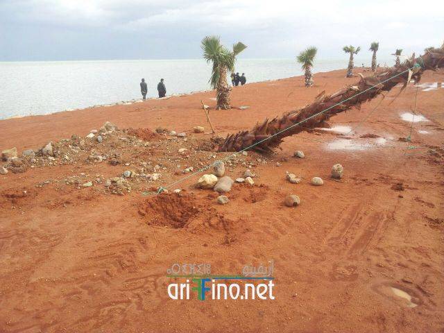 nador0567