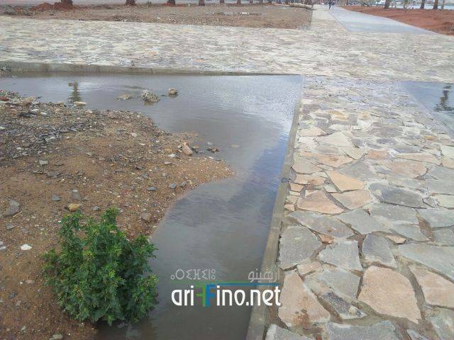 nador0568