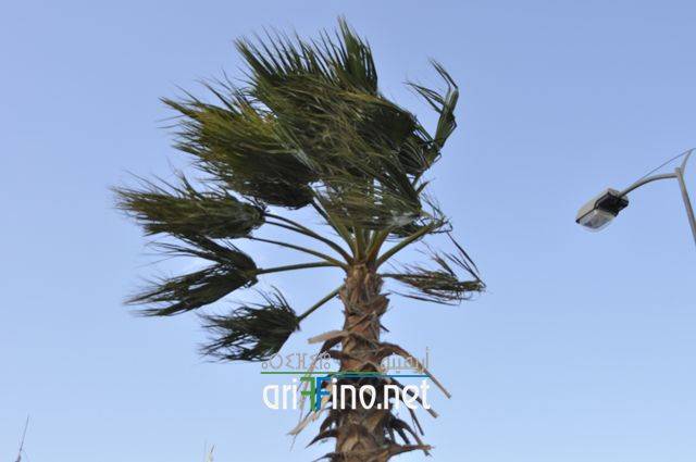 nador0634