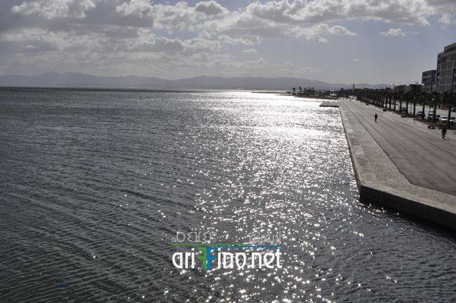 nador0638