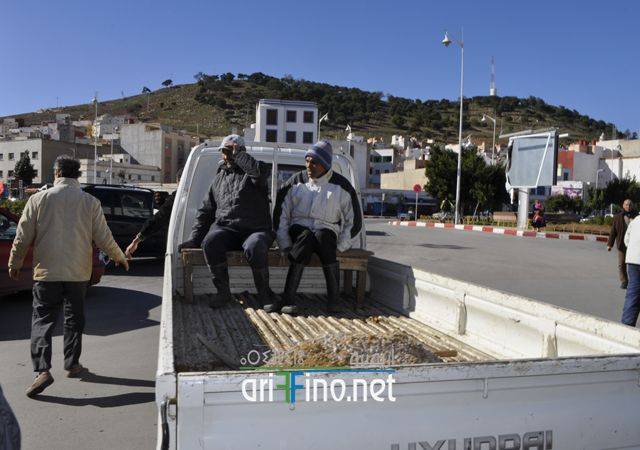 nador0650