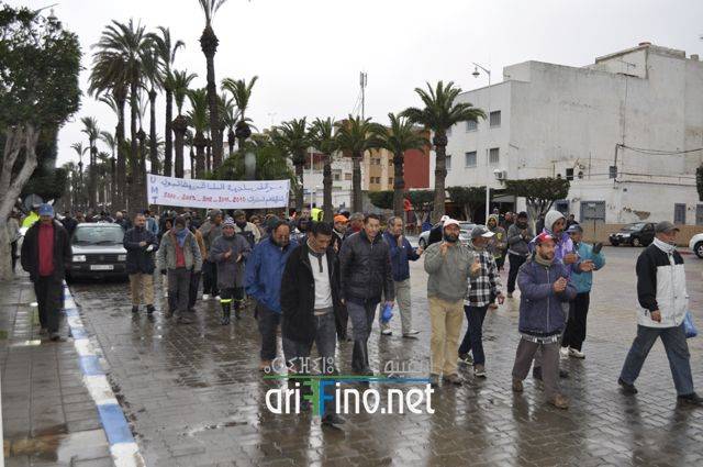 nador0661
