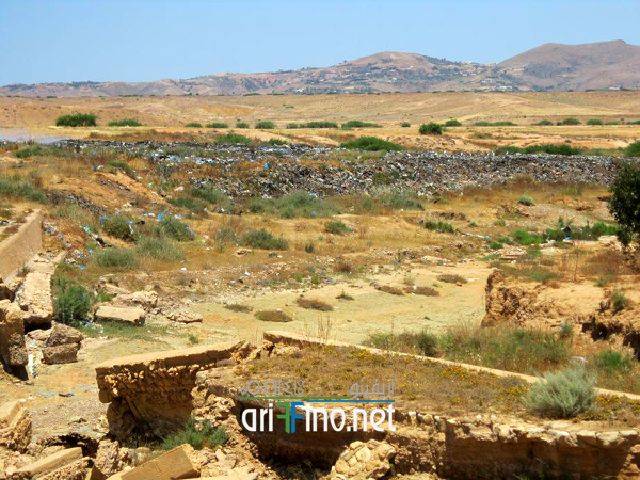 nador1187