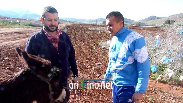 nador1287