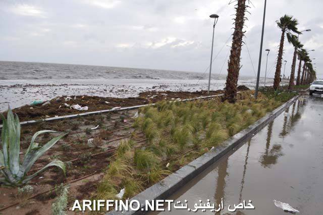 nador1846