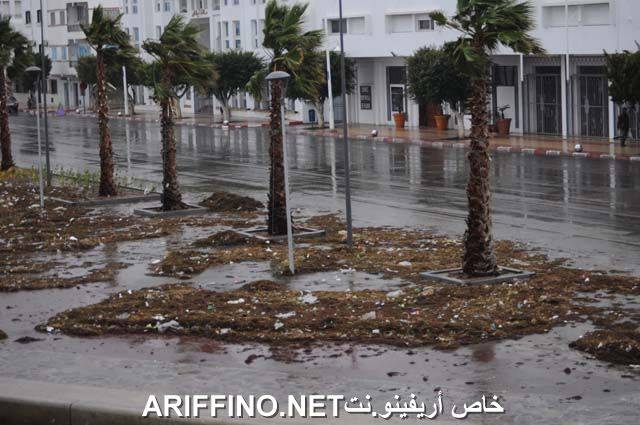nador1857