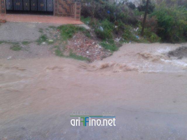 nador2041