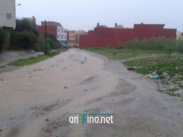 nador2043