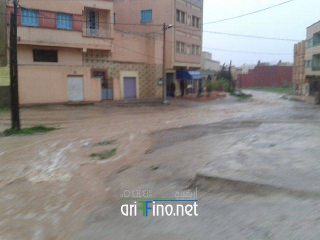 nador2044