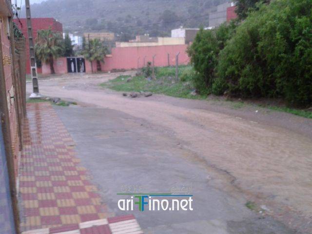 nador2046