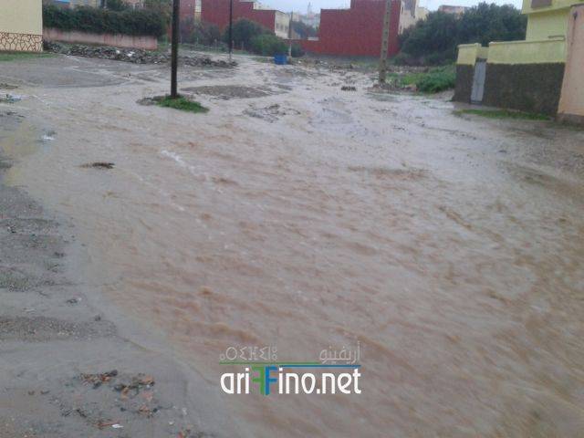 nador2047