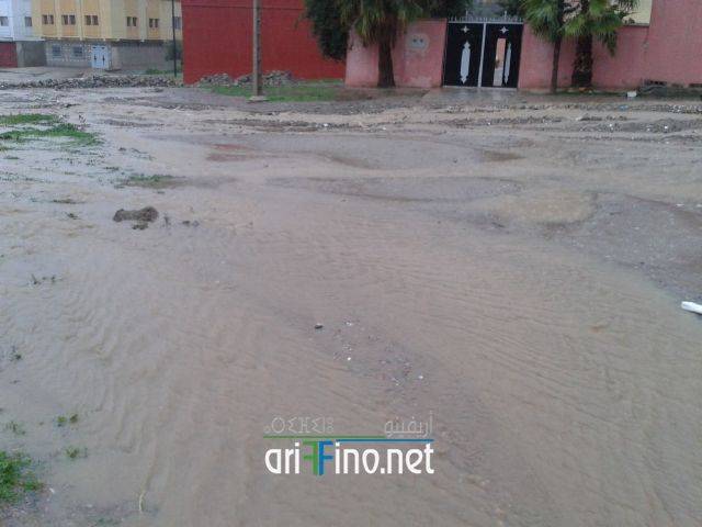 nador2048