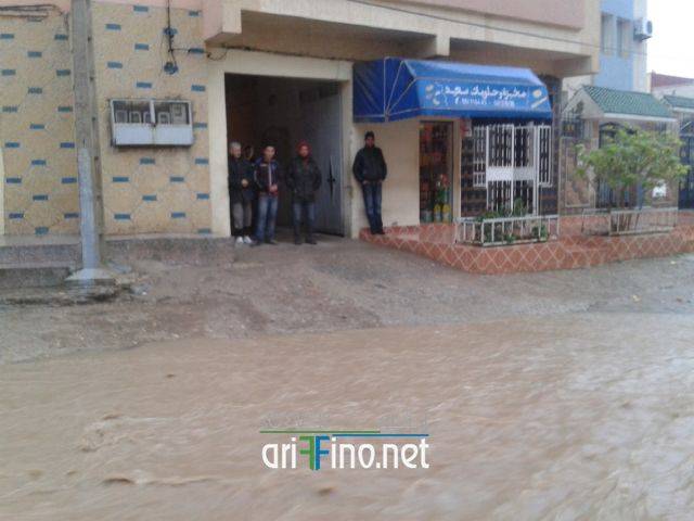 nador2049