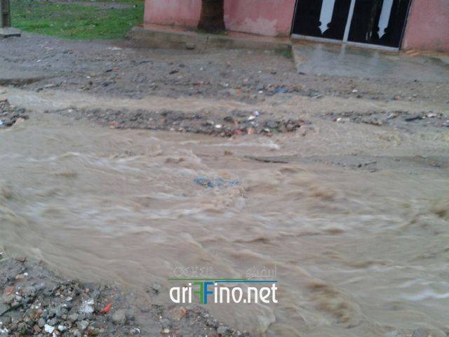 nador2053