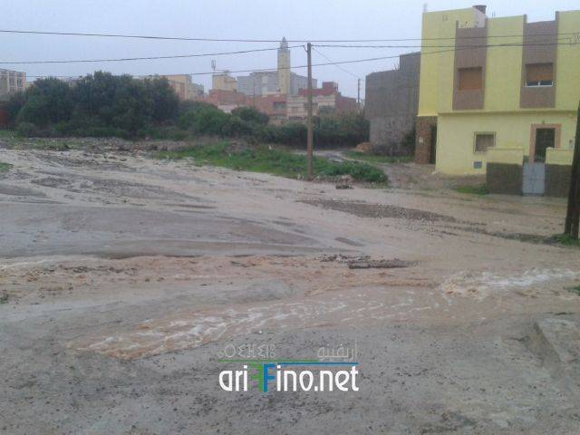 nador2056