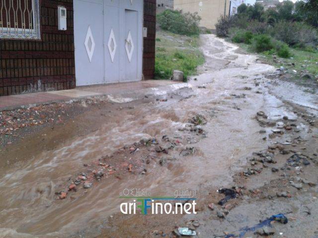 nador2069