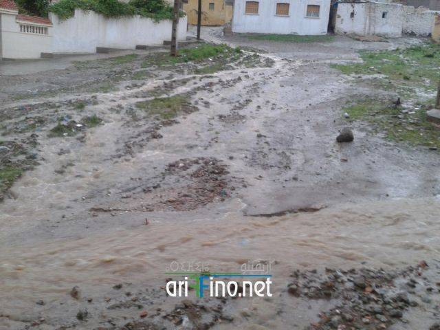 nador2071