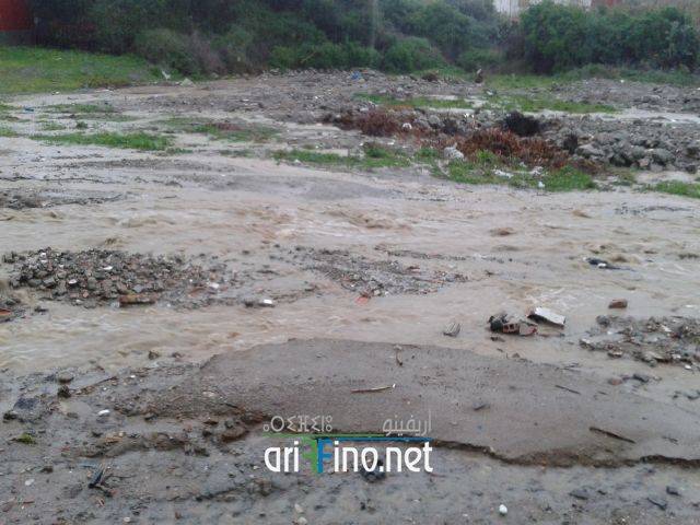 nador2074