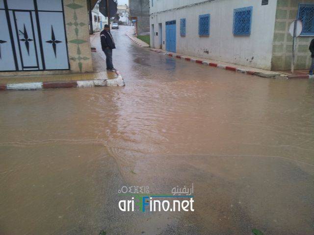 nador2077