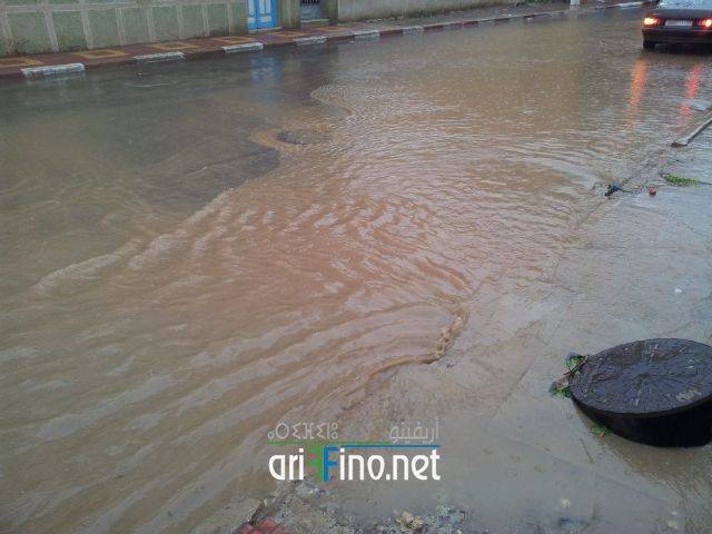 nador2079