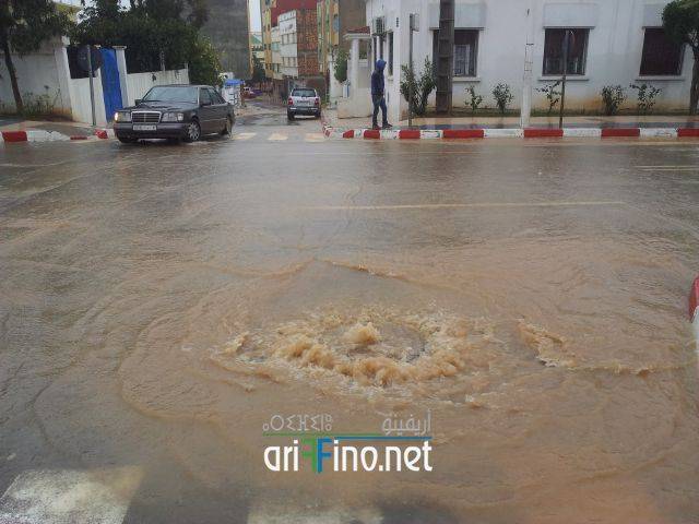 nador2080