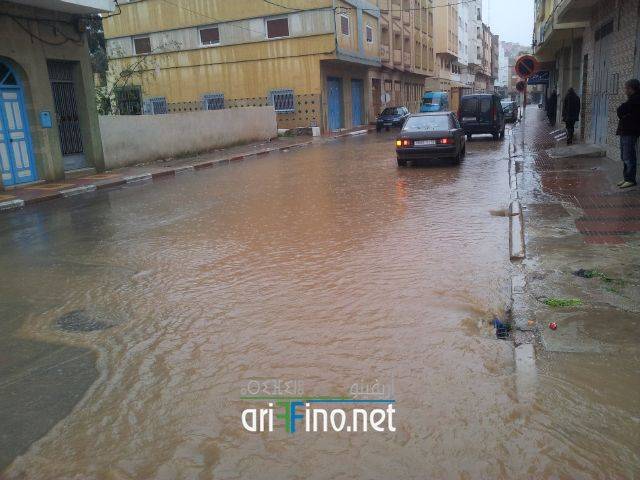 nador2081